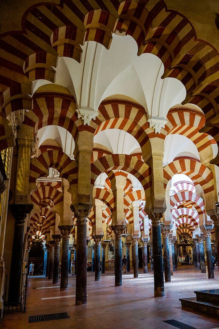 sala de oracion, Mezquita-catedral de Córdoba, Andalusien, Spanien