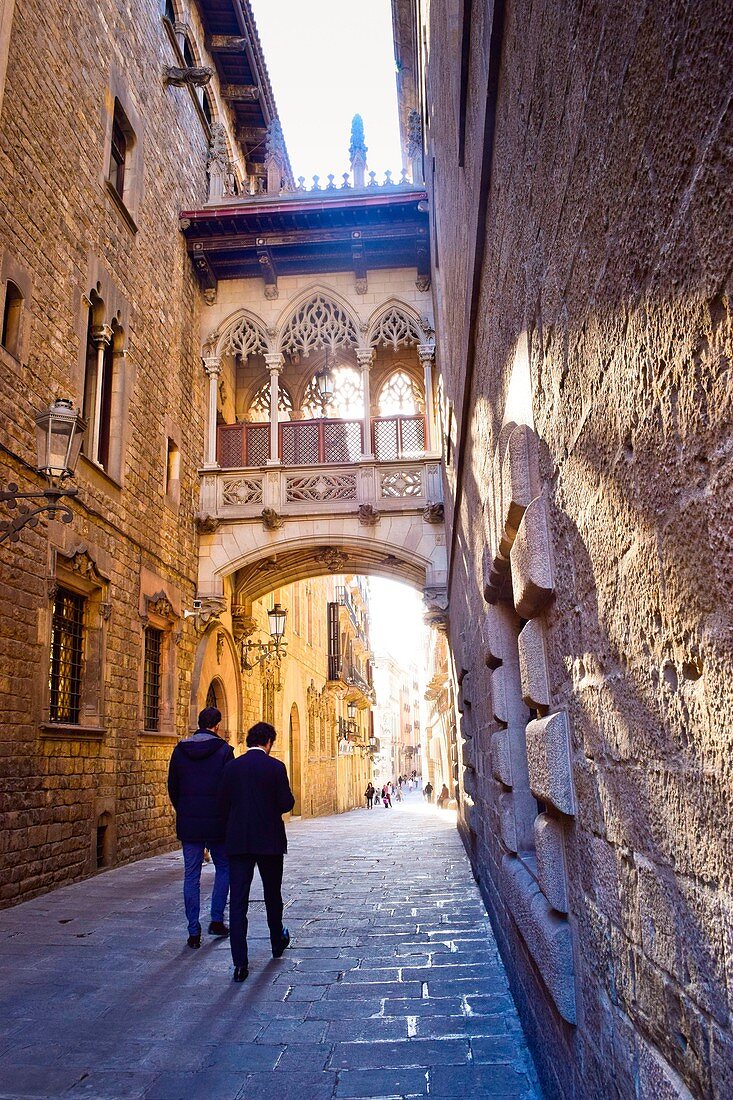 Carrer del Bisbe. Barcelona, Catalonia, Spain.