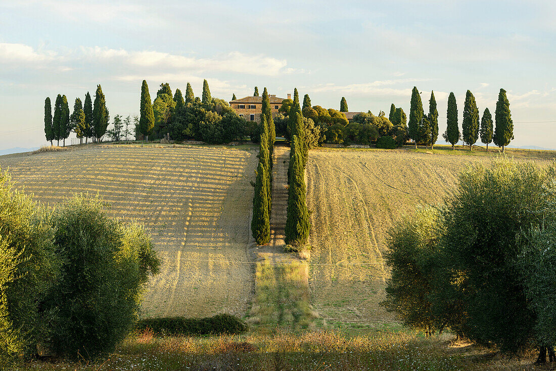 Europe, Italy, Tuscany, Val d´Orcia, September 2013, UNESCO World Heritage - cultural site.