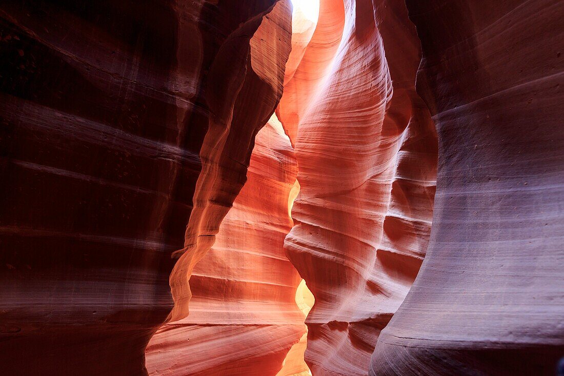 Upper Antelope Canyon, North America, USA, South-West, Arizona