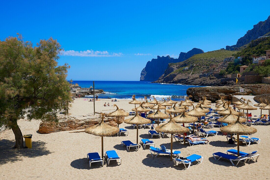 Balearic islands, Mallorca, Majorca Island, Cala San Vicente , Cala Sant Vicen?, Pollen?a, Formentor Cliffs.