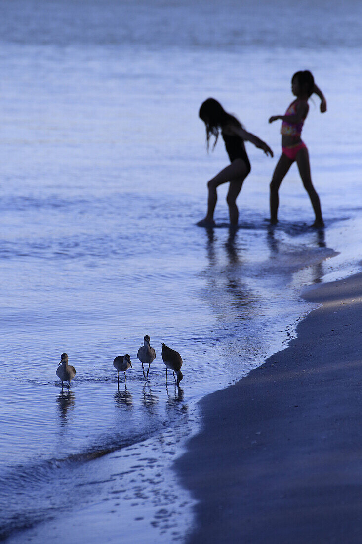 Two young girls or children playing in the water at a beach with a flock of birds in the foreground