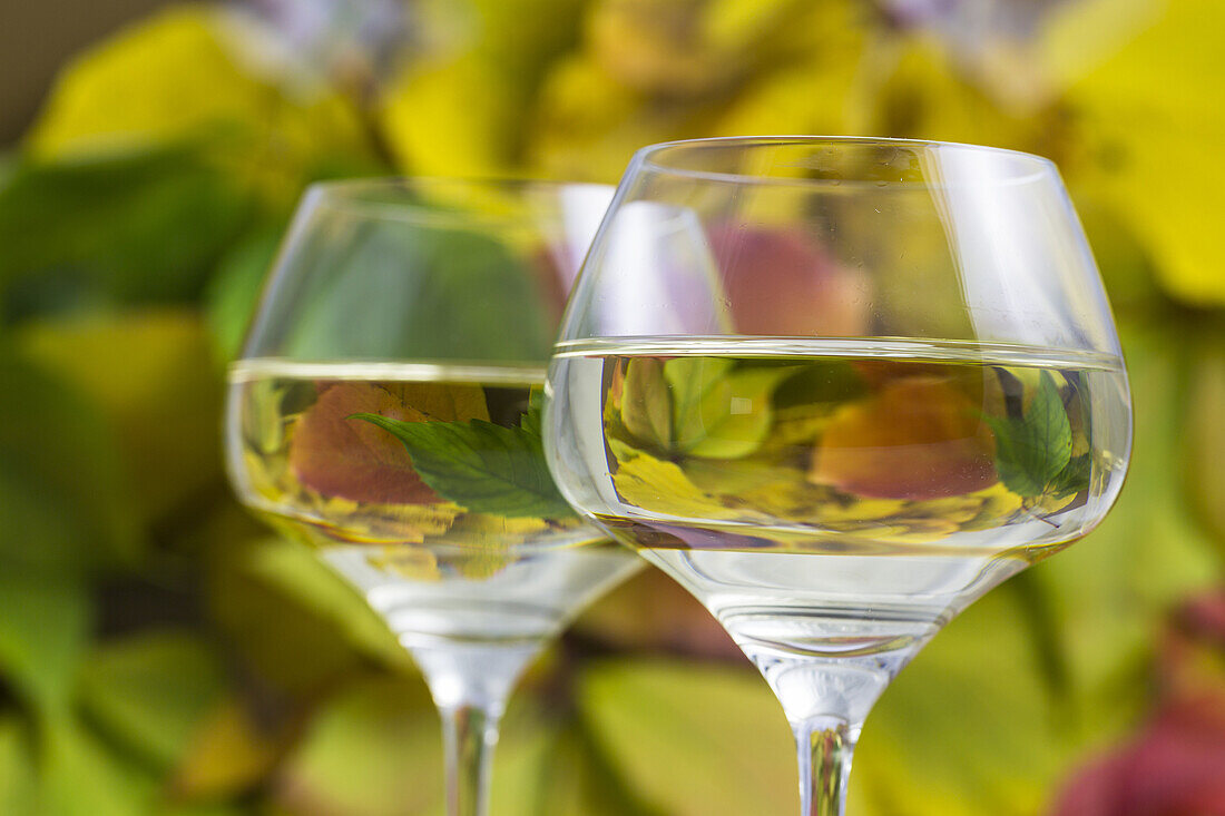 Two glasses of white wine