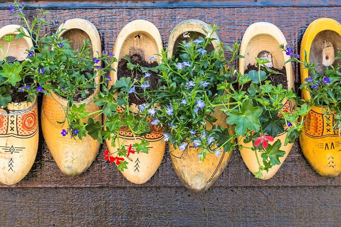 Close up of traditional clogs, The Netherlands, Europe