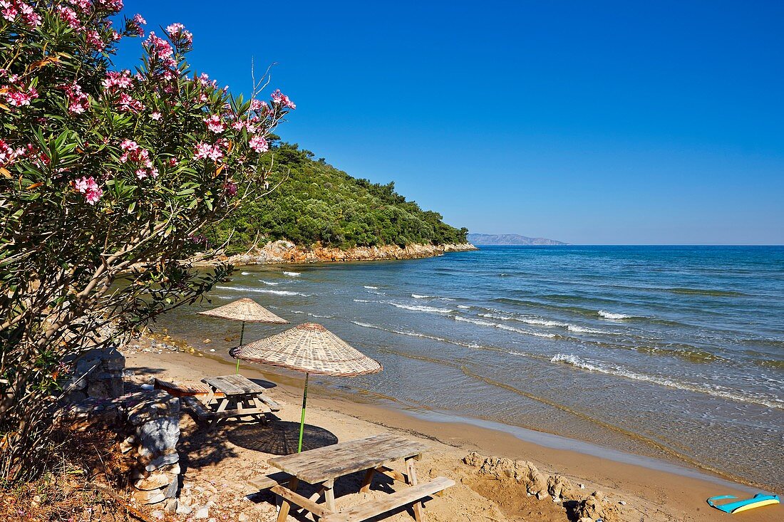 Beach area at Dilek Peninsula National Park, Aydin Province, Turkey.