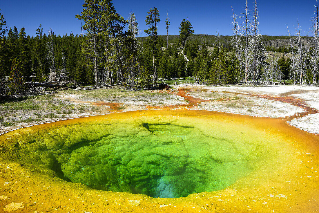 Morning Glory Pool part of the Upper Geyser Basin, Yellowstone National Park.