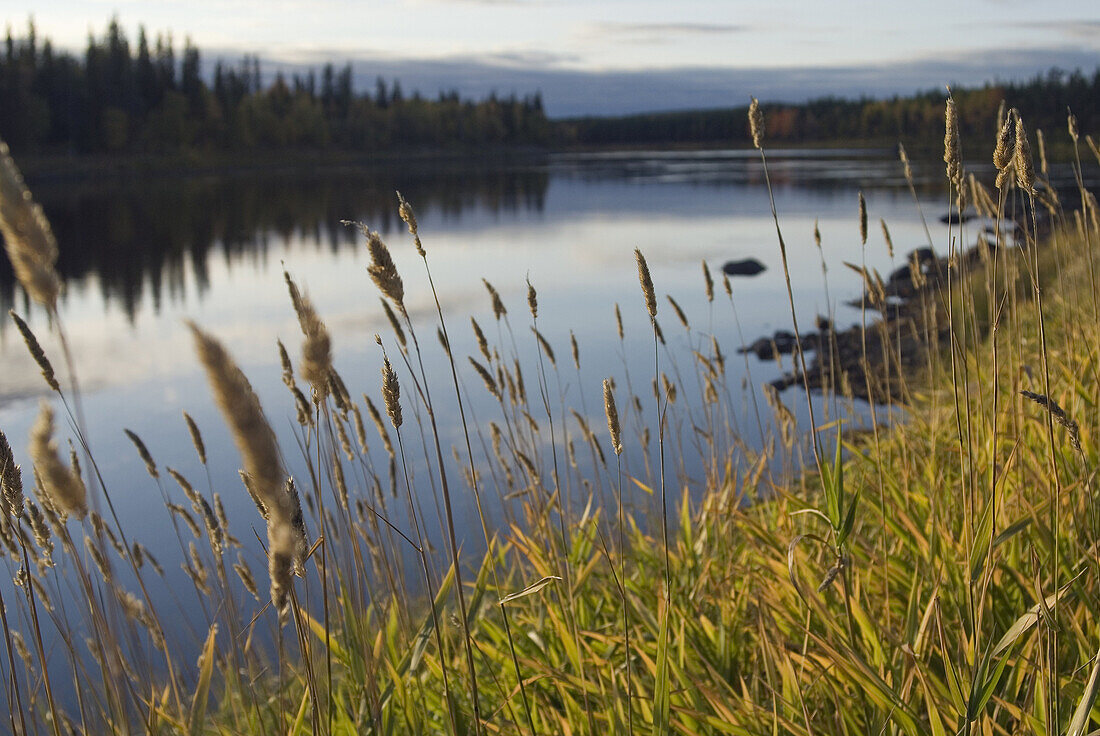 Ufer des Kemijoki-Flusses, Region Savukoski, Lappland, Finnland, Nordeuropa.