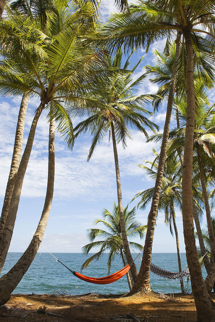 Pfad auf der Pointe des Cayes, Ile Royale, Iles du Salut Inseln der Erlösung, Französisch-Guayana, Überseedepartement und Region Frankreichs, Atlantikküste Südamerikas.