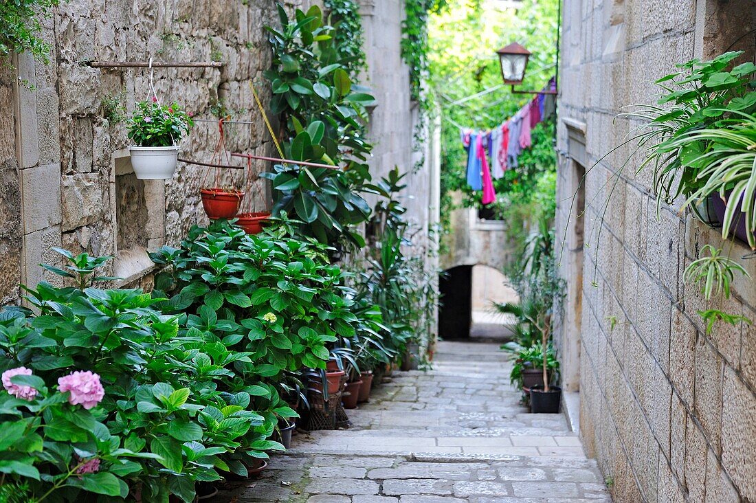 Gasse in der Altstadt von Korcula, Insel Korcula, Kroatien, Südosteuropa.