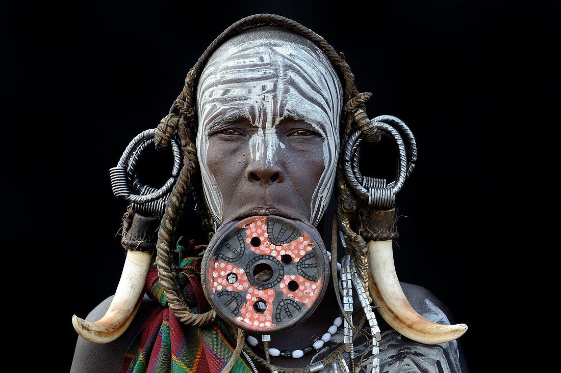 Portrait of woman of the Mursi tribe traditionally decorated and painted, wearing a large clay lipplate, Omo Valley, Ethiopia, Africa.