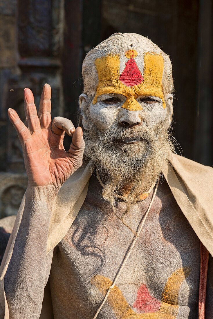 Portrait of a sadhu, Kathmandu, Nepal.