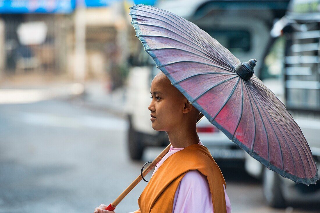 Nun on her alms rounds, Yangon, Myanmar.