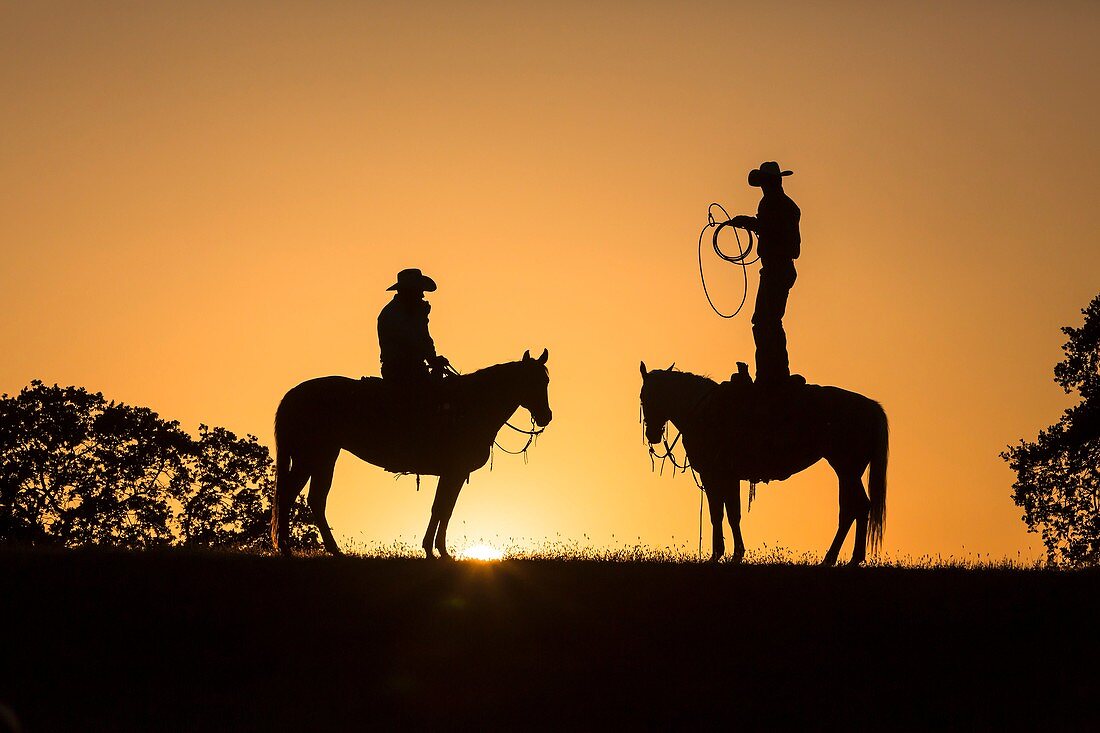 Two wranglers (cowboys) on horses at sunset, California, USA