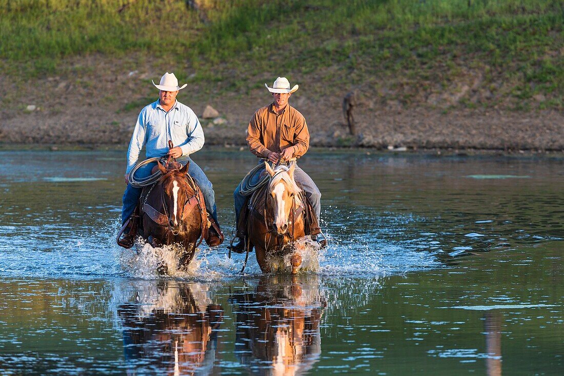 Two wranglers (cowboys) on horses, riding through water, California, USA