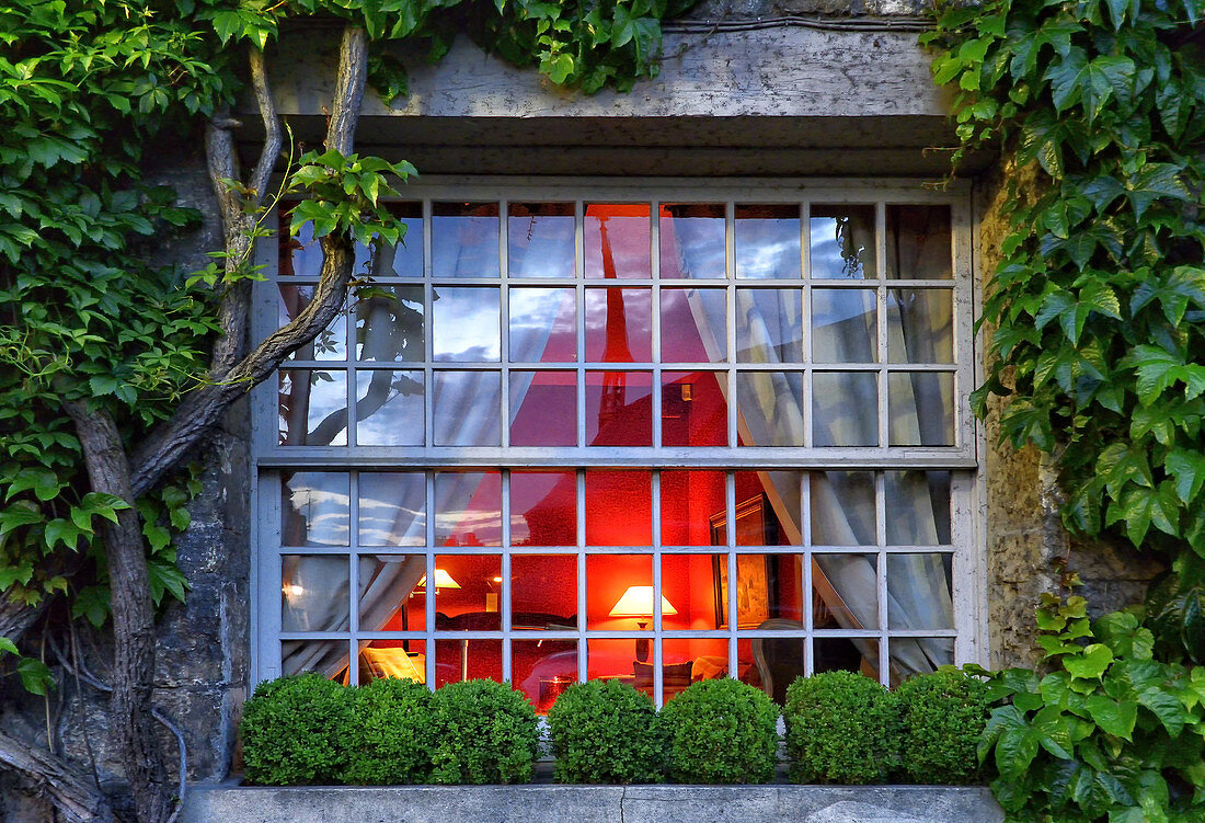 window with lights on inside, creeping plants around window from outside.