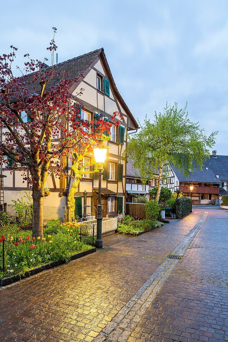 Medieval town Allschwil, Basel, Canton Basel-Landschaft, Switzerland.