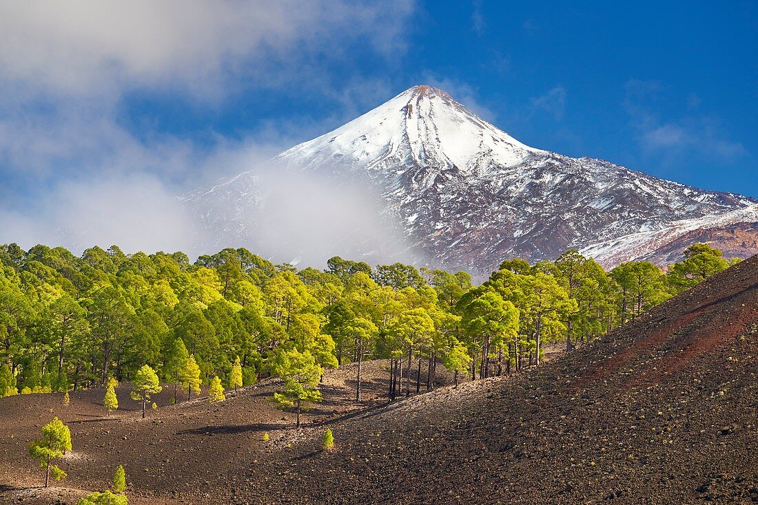 View of Teide Volcano Mount, Tenerife, Canary Islands, Spain.