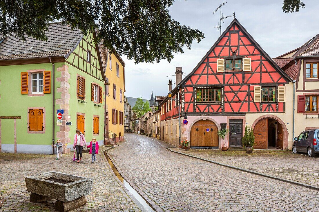 Kientzheim, Haut-Rhin, Alsace, France, Europe.