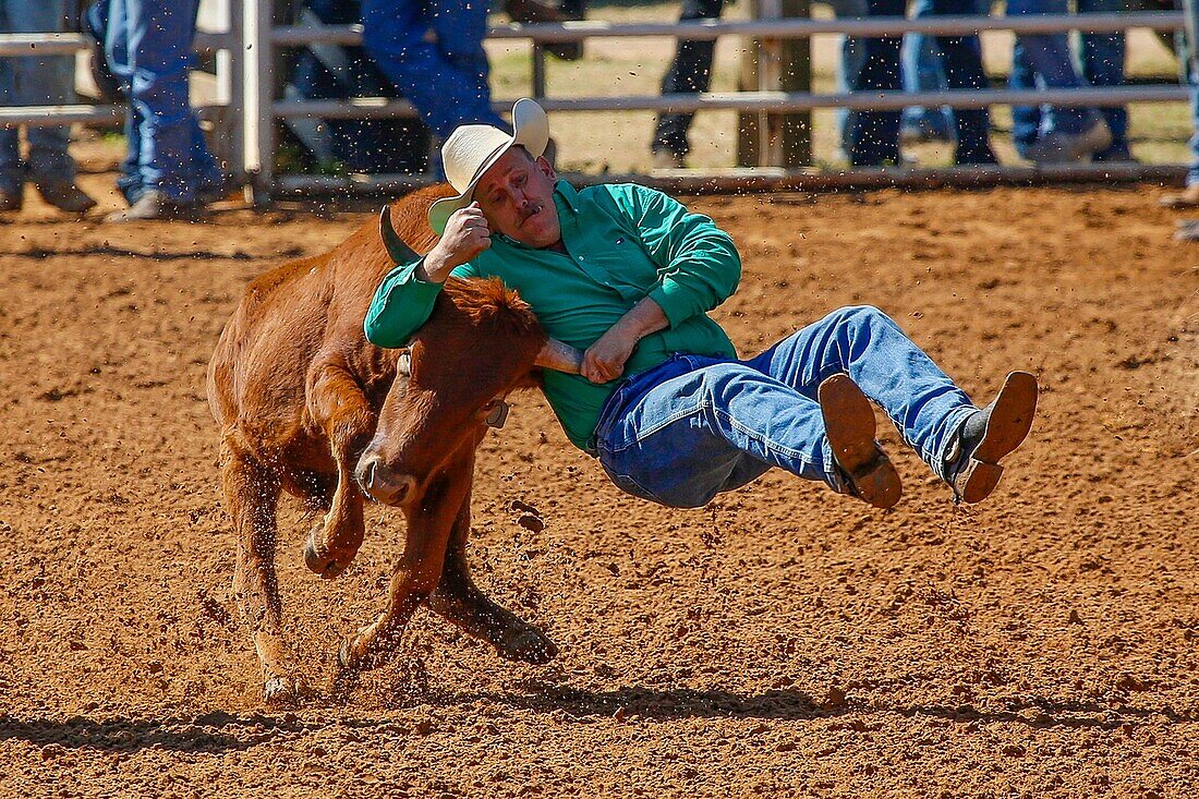 Arcadia All-Florida Championship P. R. C. A. Rodeo held in the southwestern Florida town of Arcadia.