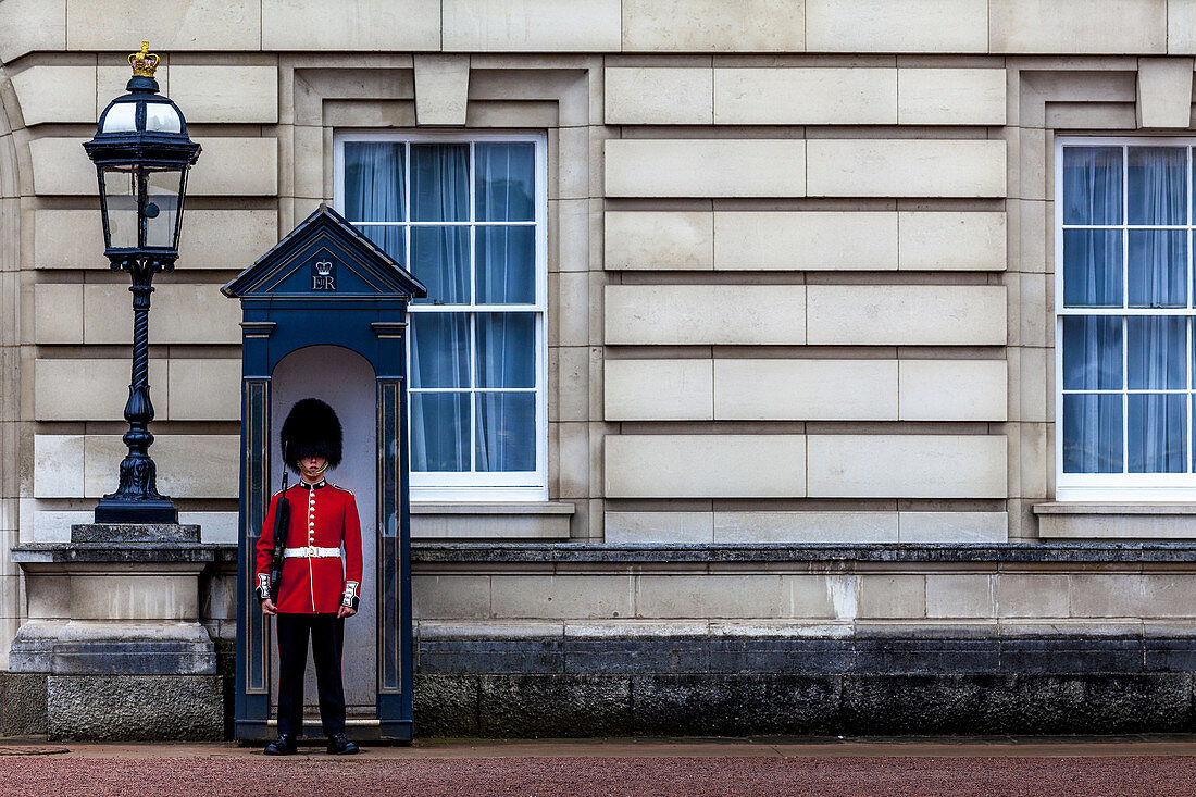 Palace Guard, Buckingham Palace, London, England.