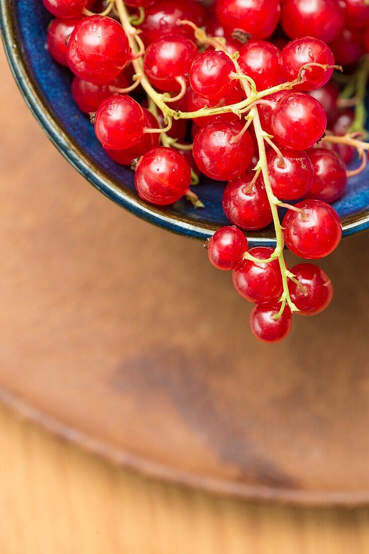Closeup of red ripe redcurrant berries in a bowl.