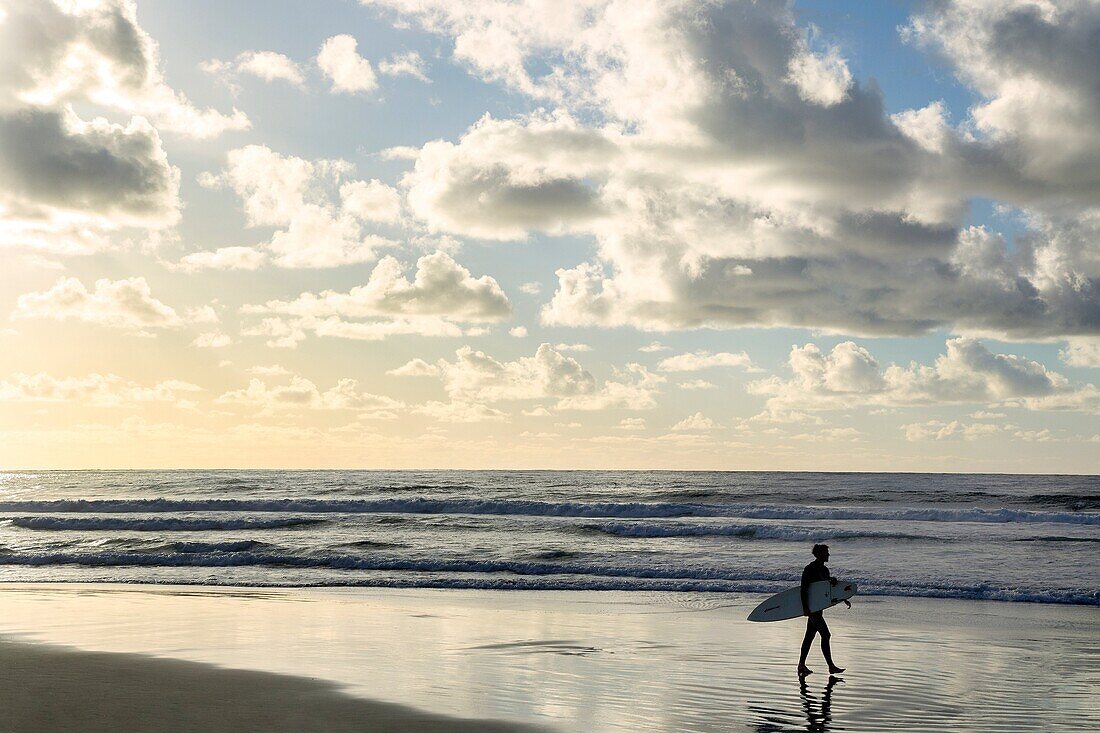 Male surfer walking at the beach at sunset, La Jolla, California.