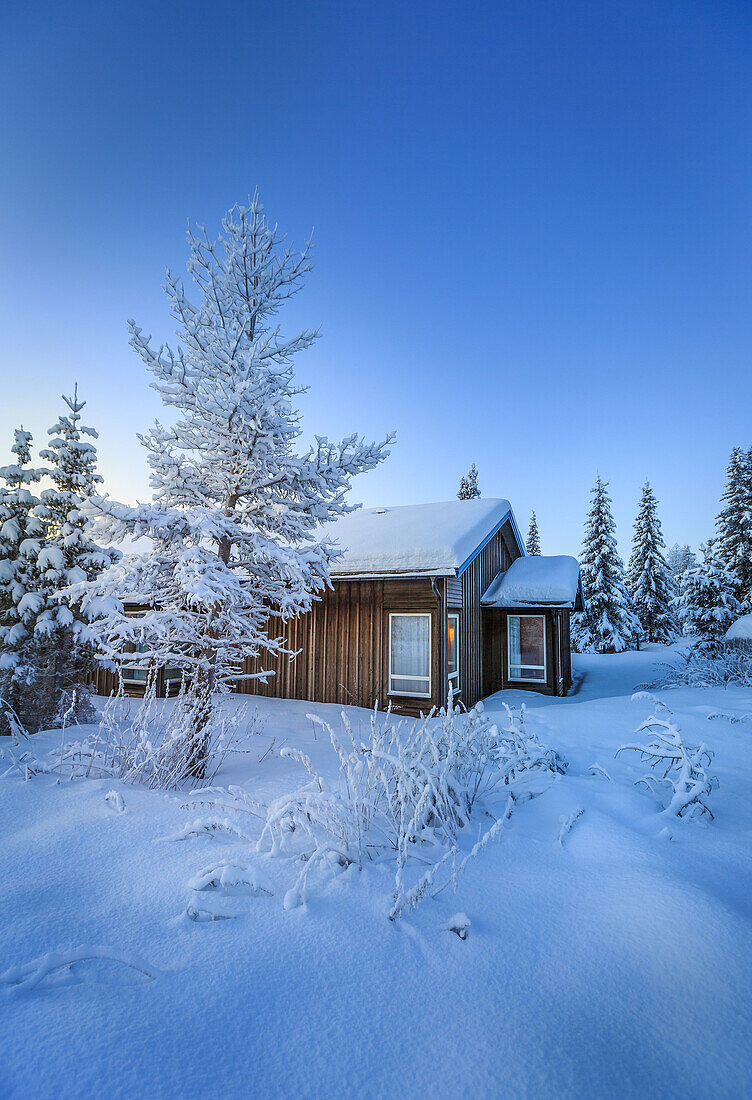 Log Cabin and snow covered trees in extreme cold temperatures, Lapland, Sweden.