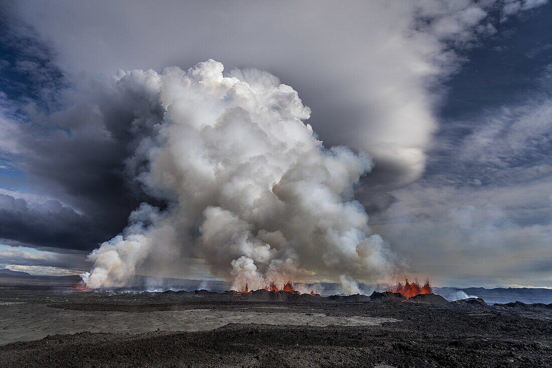Lava and plumes from the Holuhraun Fissure by the Bardarbunga Volcano, Iceland. August 29, 2014, a fissure eruption started in Holuhraun at the northern end of a magma intrusion which had moved progressively north, from the Bardarbunga volcano. Picture da