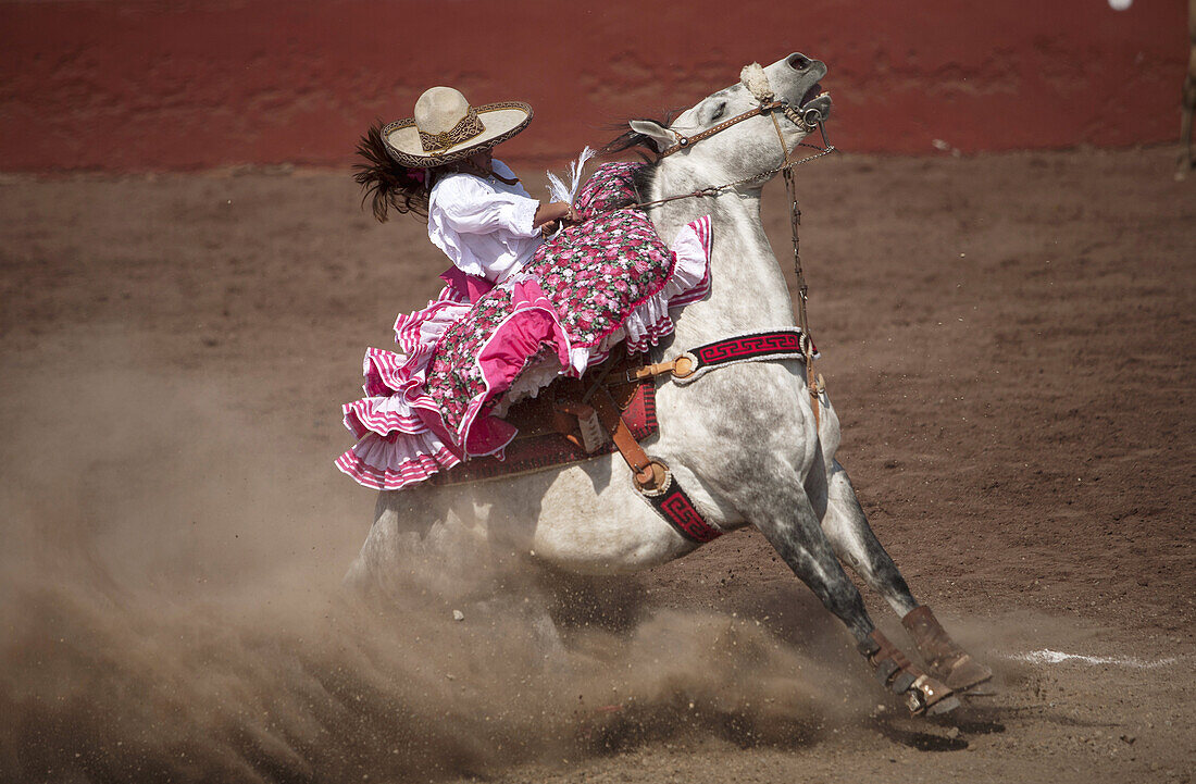 'An escaramuza sits on her horse before competing in an Escaramuza in the Lienzo Charros el Penon, Mexico City, Sunday, January 19, 2013. Escaramuzas are similar to US rodeos, where female competitors called ''''''''Amazonas'''''''' wear long skirts, and 
