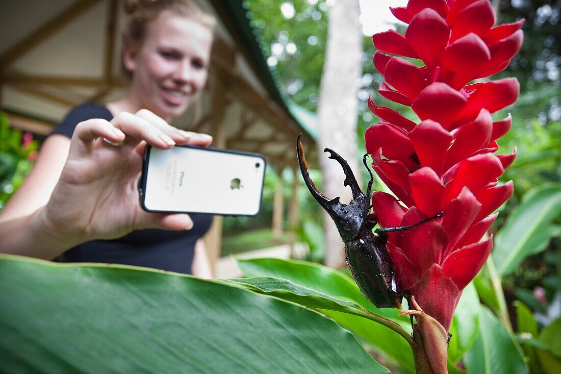 Young tourist photographing a huge beetle size of a hand in the gardens of Mawamba Lodge Tortuguero. Tortuguero, Costa Rica, Central America.