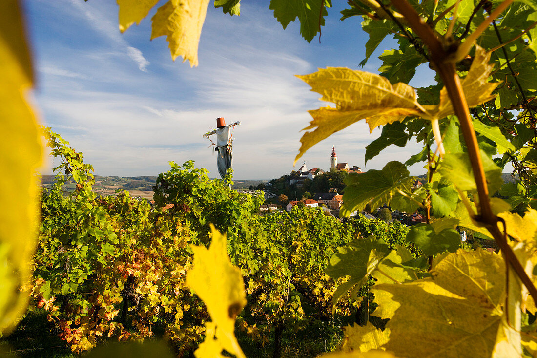Scarecrow in the vineyards and Straden