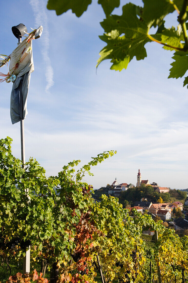 Scarecrow in the vineyards and Straden