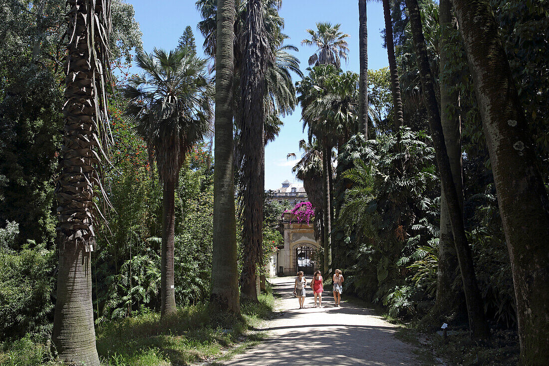 Botanical garden of the university in Lisbon
