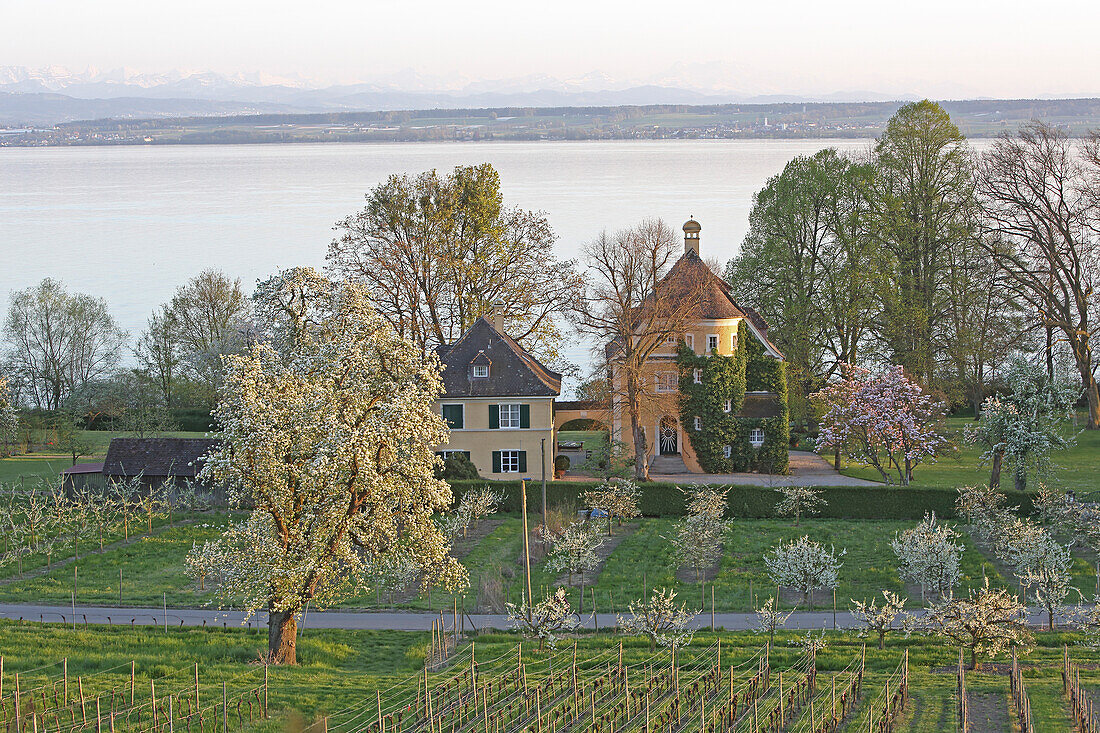 Seafront villa, Lake Constance, Hagnau am Bodensee