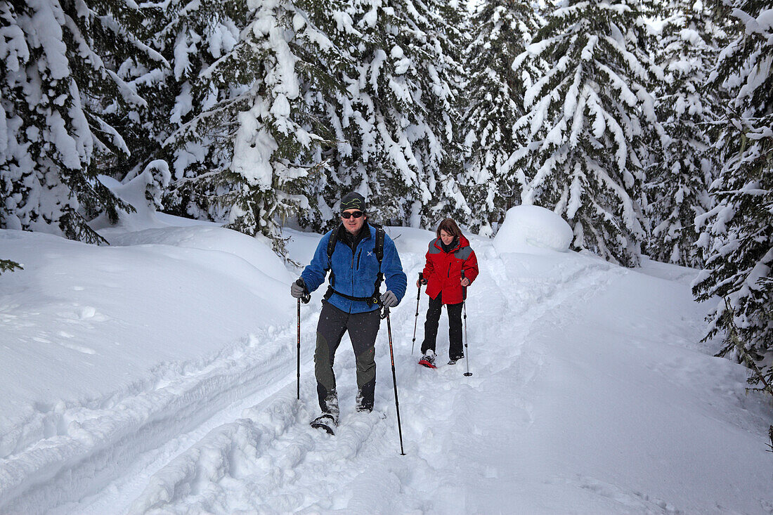 Schneeschuhwanderung über Saalfelden, Saaletal, Pinzgau, Salzburger Land