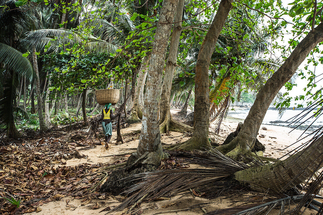 Eingeborene Frau balanciert einen großen Korb auf ihrem Korb, Sao Tome, Sao Tome und Príncipe, Afrika