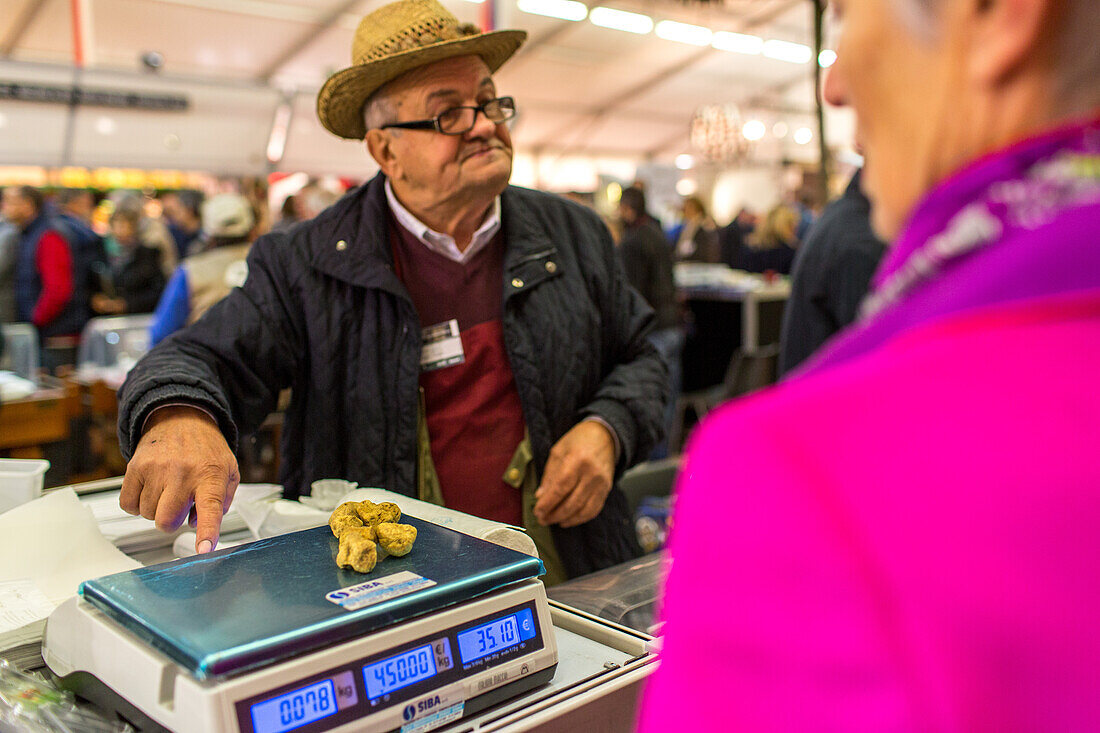 Verkäufer, abwiegen weiße Trüffel, Delikatesse, Luxus, teuer, Alba Trüffelmesse für Gourmet, Luxus, Waage, Gramm, Preis, Gastronom, Feinschmecker, Alba, Piemont, Cuneo, Italien