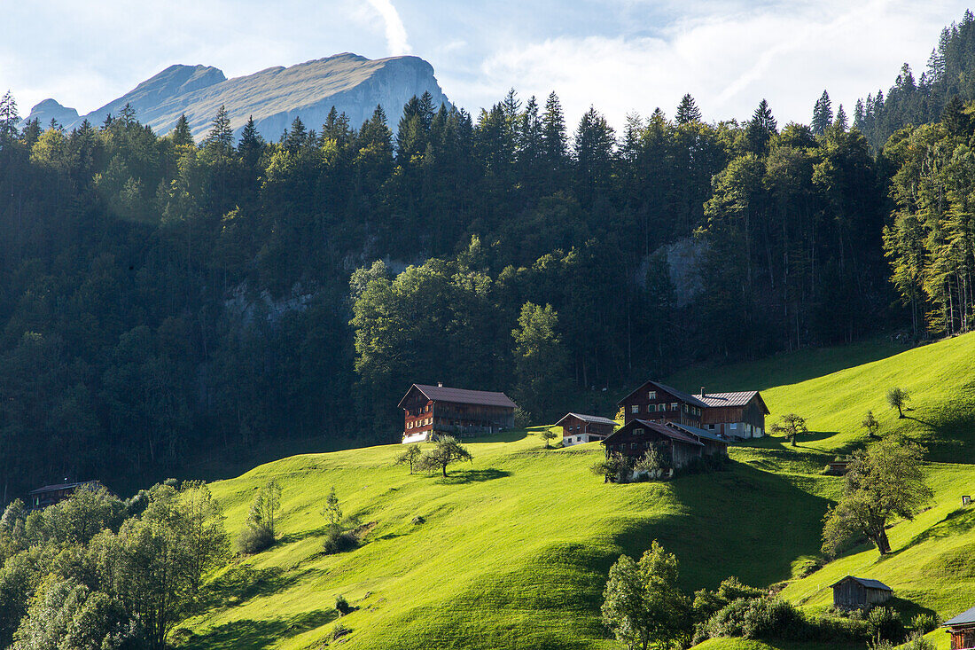 green meadows, countryside, romantic, traditional farm houses, mountains, landscape, alpine pasture, Vorarlberg, Austria
