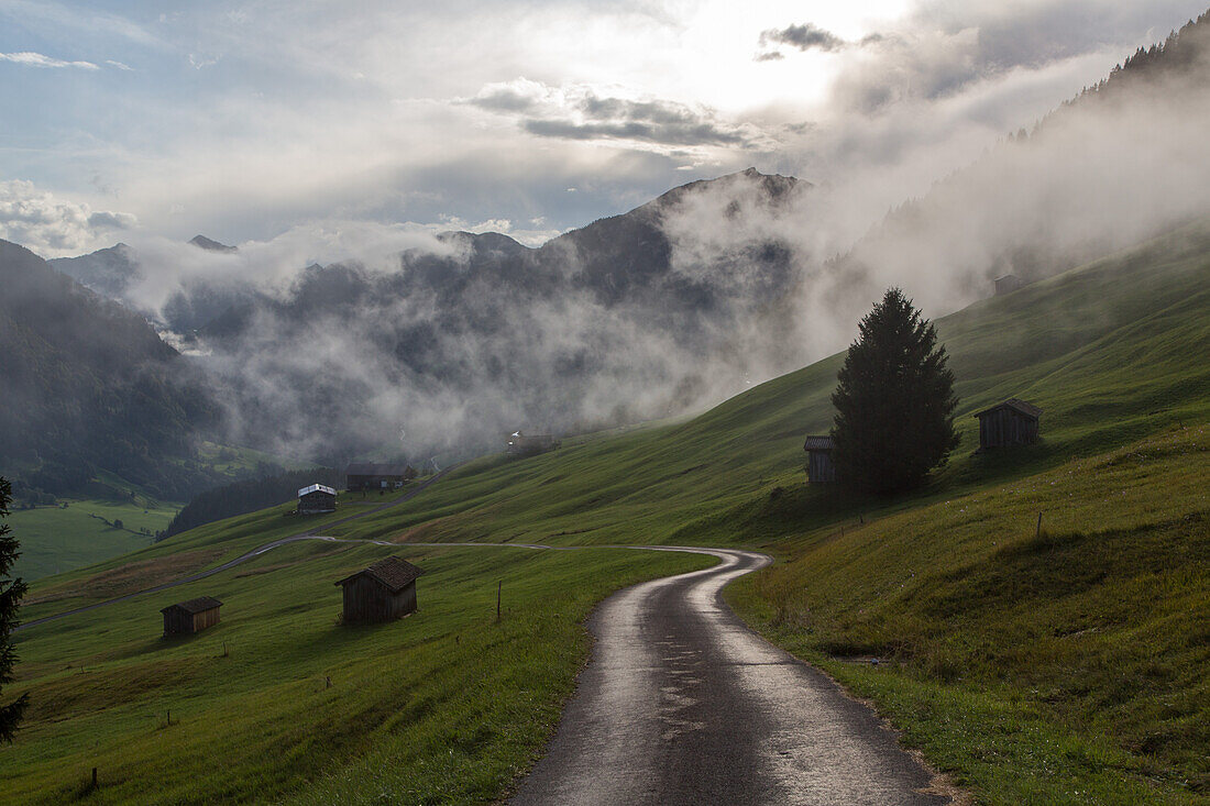 path through meadows after rain, lifting clouds, huts, mountains, green meadows, countryside, romantic, idyllic, traditional farm huts, mountains, landscape, alpine pasture,Vorarlberg, Austria