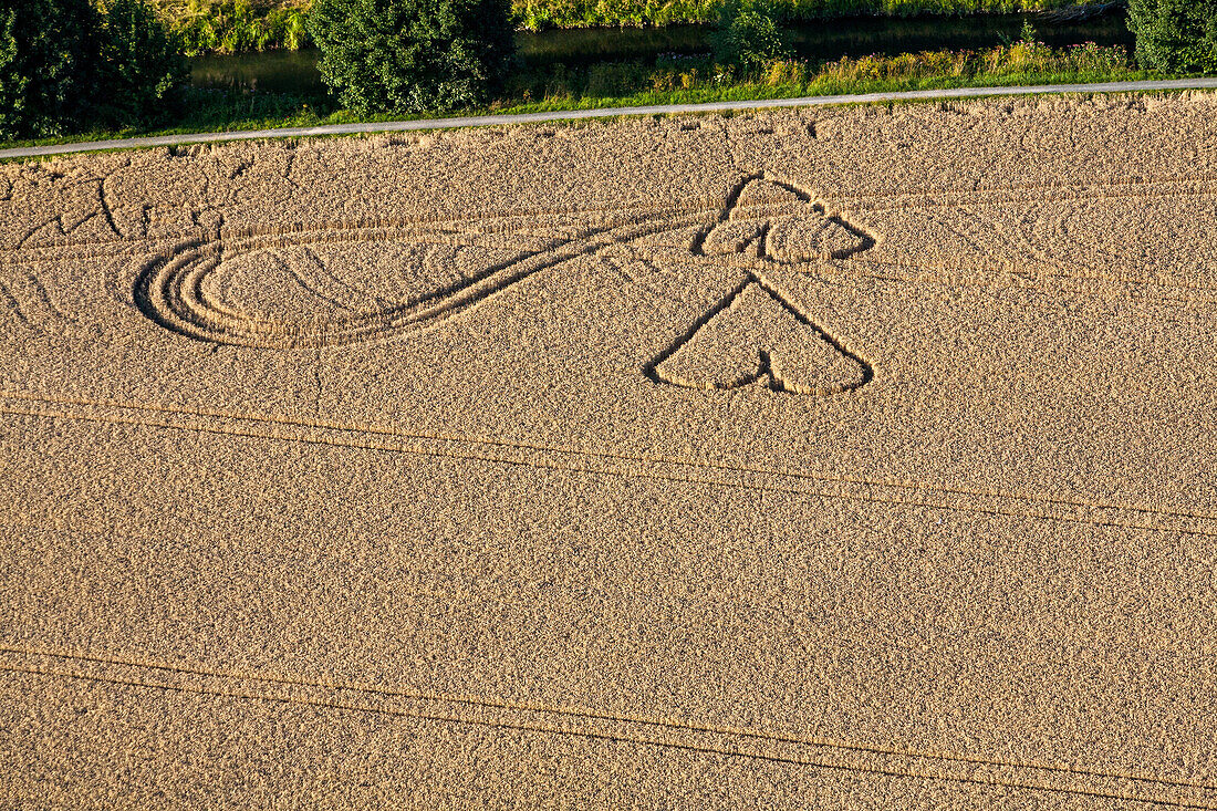 aerial hearts in wheatfield, agricultural landscape, Lower Saxony, northern Germany