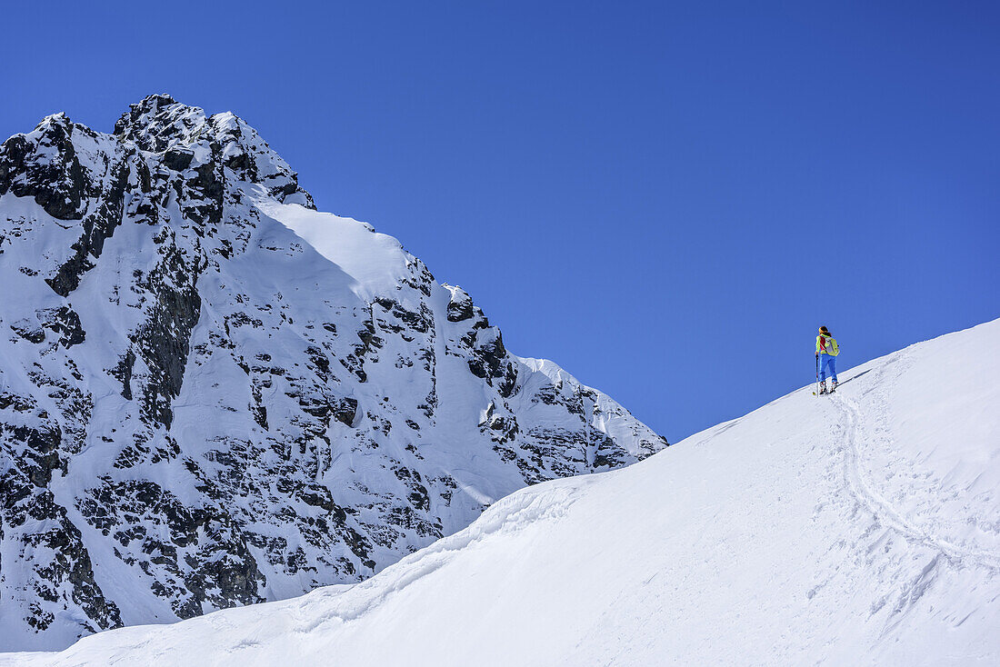 Woman back-country skiing ascending to Winnebacher Weisserkogel, Winnebacher Weisserkogel, Sellrain, Stubai Alps, Tyrol, Austria