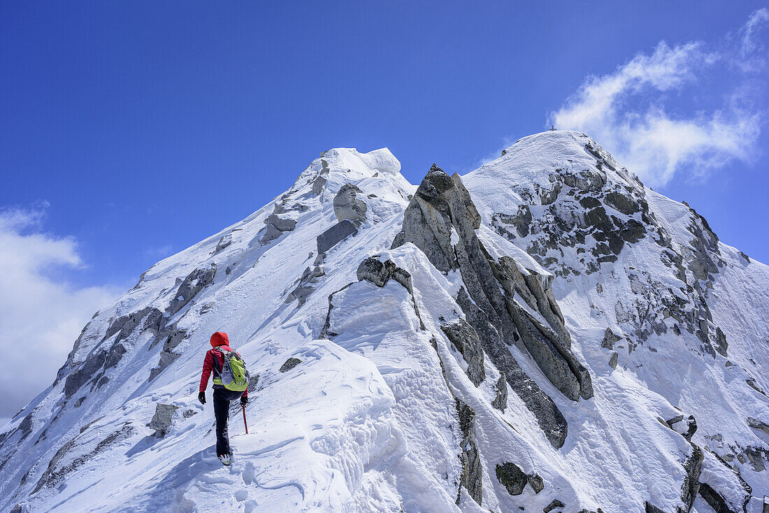Woman back-country skiing ascending on rock- and iceridge to Care Alto, Care Alto, Adamello group, Lombardia, Italy