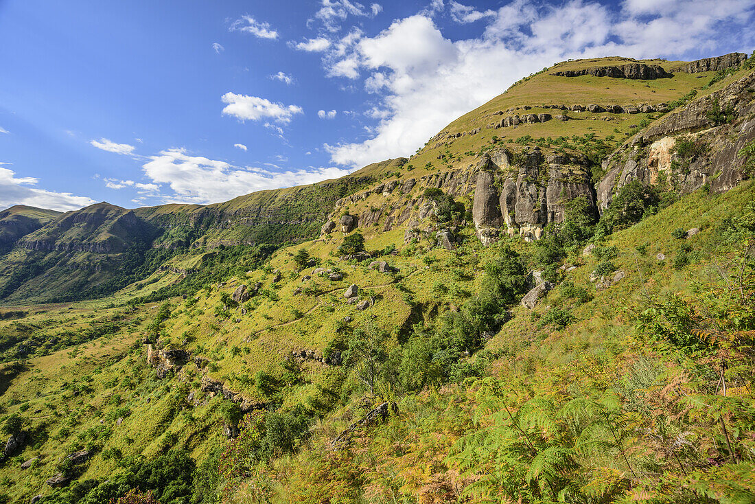 Green mountain slopes above Monks Cowl, Monks Cowl, Mdedelelo Wilderness Area, Drakensberg, uKhahlamba-Drakensberg Park, UNESCO World Heritage Site Maloti-Drakensberg-Park, KwaZulu-Natal, South Africa