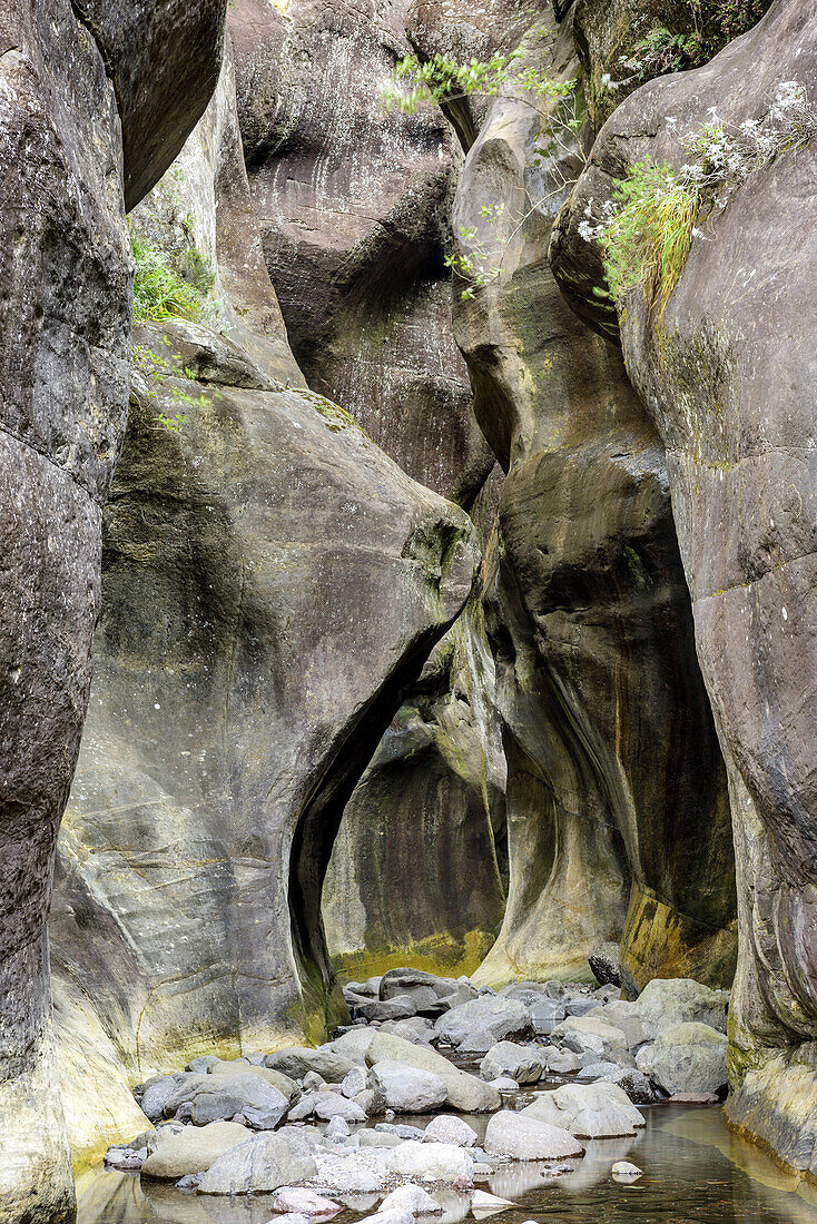 Tugela Gorge at Tugela River, Amphitheatre, Royal Natal, Drakensberg, uKhahlamba-Drakensberg Park, UNESCO World Heritage Site Maloti-Drakensberg-Park, KwaZulu-Natal, South Africa