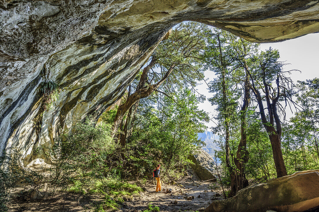 Woman hiking standing in front of big cave, Tugela Valley, Amphitheatre, Royal Natal, Drakensberg, uKhahlamba-Drakensberg Park, UNESCO World Heritage Site Maloti-Drakensberg-Park, KwaZulu-Natal, South Africa
