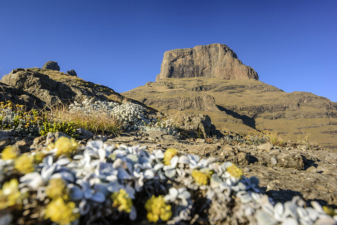 Rock spire Sentinel, Witsieshoek, Amphitheatre, Royal Natal, Drakensberg, uKhahlamba-Drakensberg Park, UNESCO World Heritage Site Maloti-Drakensberg-Park, KwaZulu-Natal, South Africa