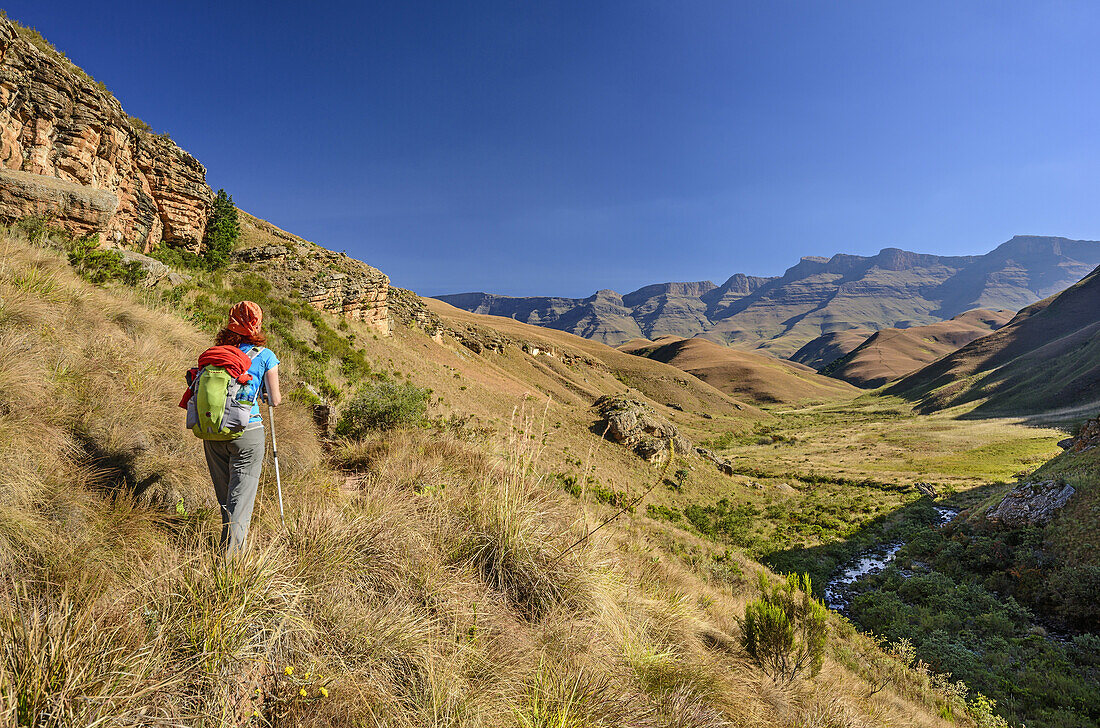 Frau beim Wandern geht auf Carabineers Wall und Durnford zu, Giant's Castle, Drakensberge, uKhahlamba-Drakensberg Park, UNESCO Welterbe Maloti-Drakensberg-Park, KwaZulu-Natal, Südafrika