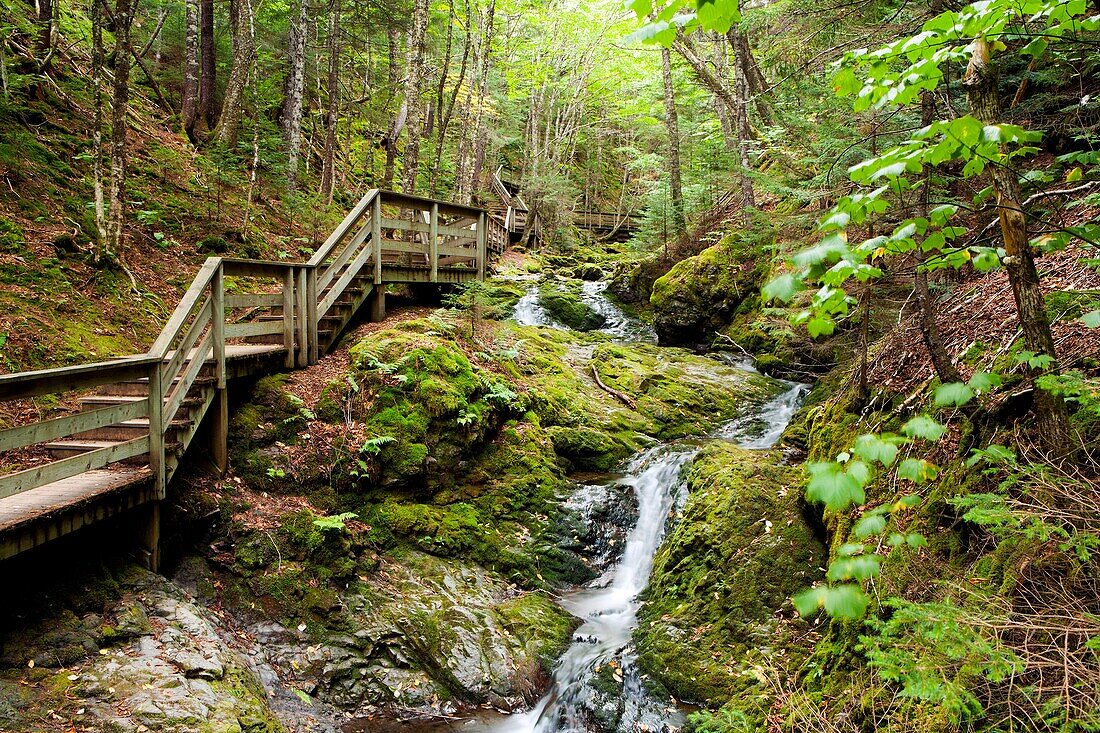 Dickson Falls Trail - Fundy National Park - near Alma, New Brunswick, Canada.