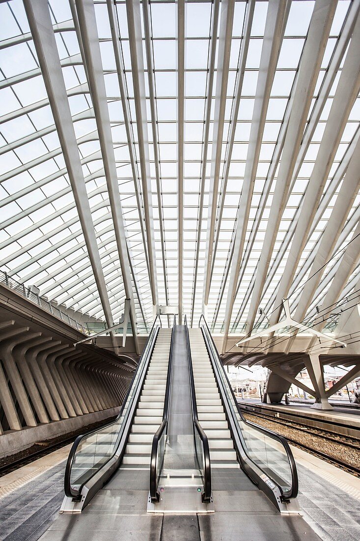 Rolltreppe im Hauptbahnhof Lüttich-Guillemins, entworfen vom Architekten Santiago Calatrava, Belgien.