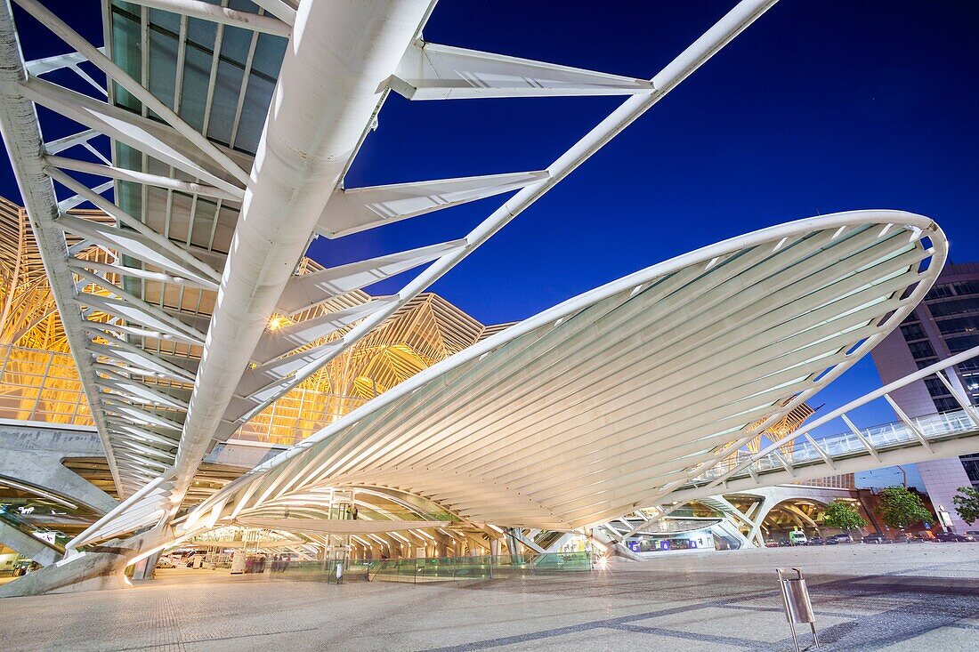 Gare do Oriente in Parque das Nações - Oriente station in Park of the Nations - from Santiago Calatrava architect, Lisboa, Portugal.